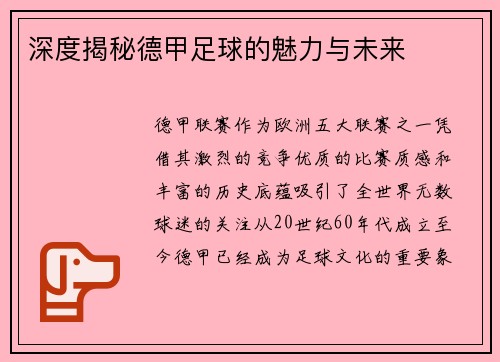 深度揭秘德甲足球的魅力与未来